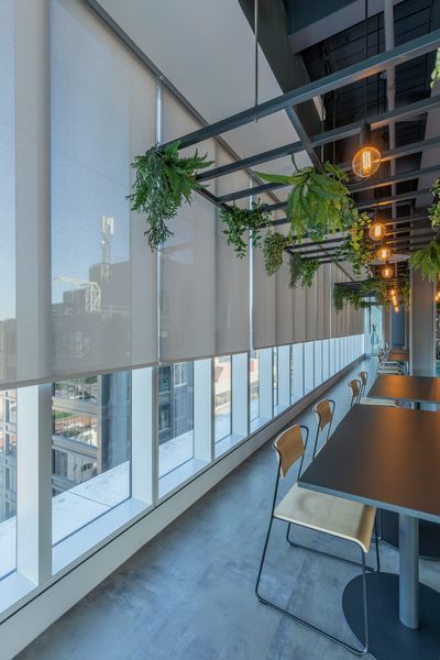 Rullegardiner, SG 4910, Versascreen 1-10%, Virgin Money, Glasgow, Scotland, United Kingdom