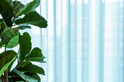 Gardinsystem, SG 5600, Colorama 1, Virgin Money, Glasgow, Scotland, United Kingdom